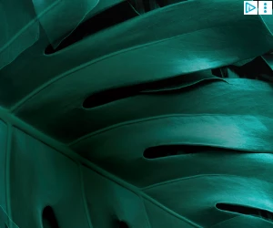 Creative Screenshot 2