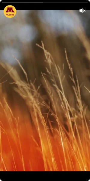 Creative Screenshot 3