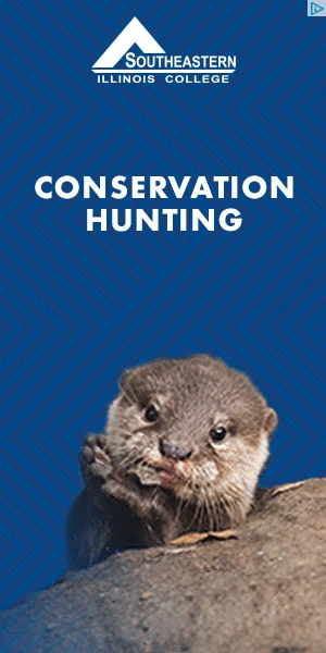 Creative Screenshot 1
