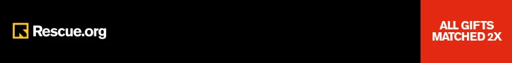 Creative Screenshot 2