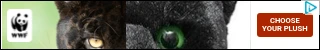 Creative Screenshot 3