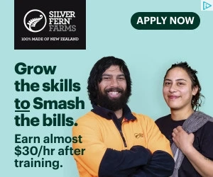 Creative Screenshot 1