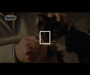 Creative Screenshot 3