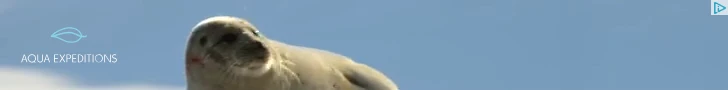 Creative Screenshot 3