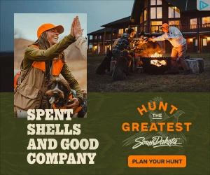 Creative Screenshot 1