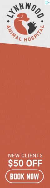 Creative Screenshot 1