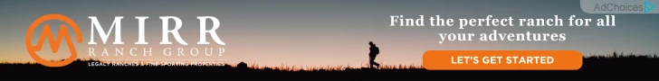 Creative Screenshot 1