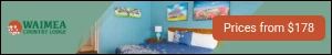 Creative Screenshot 1