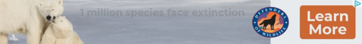 Creative Screenshot 1
