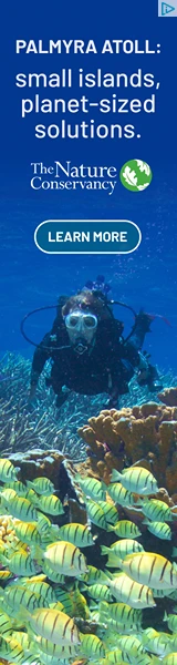 Creative Screenshot 1
