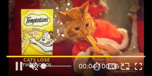 Creative Screenshot 3