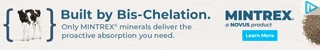 Creative Screenshot 2
