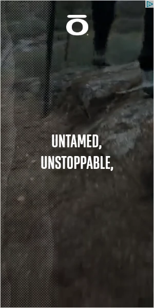 Creative Screenshot 1