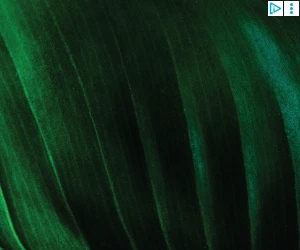 Creative Screenshot 2