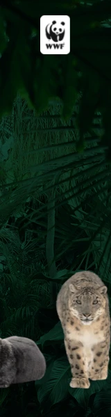 Creative Screenshot 1
