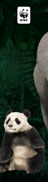 Creative Screenshot 2