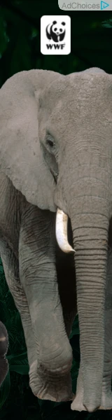 Creative Screenshot 3
