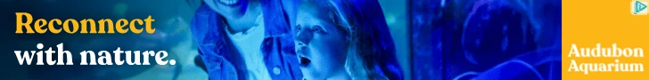 Creative Screenshot 1