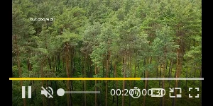 Creative Screenshot 3