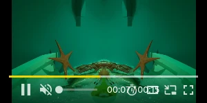 Creative Screenshot 2