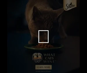 Creative Screenshot 3