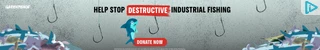 Creative Screenshot 1