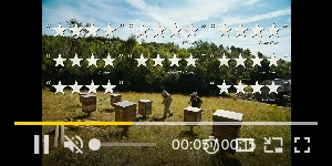 Creative Screenshot 2