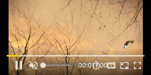 Creative Screenshot 1