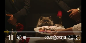 Creative Screenshot 1