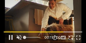 Creative Screenshot 3