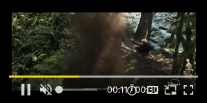 Creative Screenshot 2