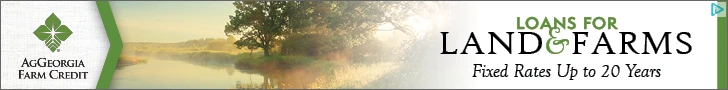 Creative Screenshot 1