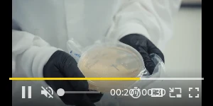 Creative Screenshot 3
