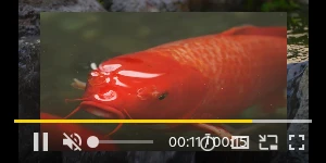 Creative Screenshot 3
