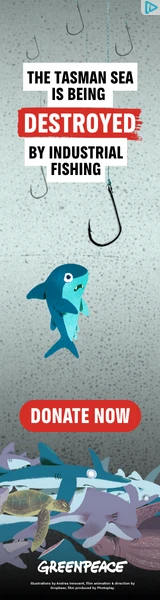 Creative Screenshot 1