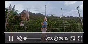 Creative Screenshot 1