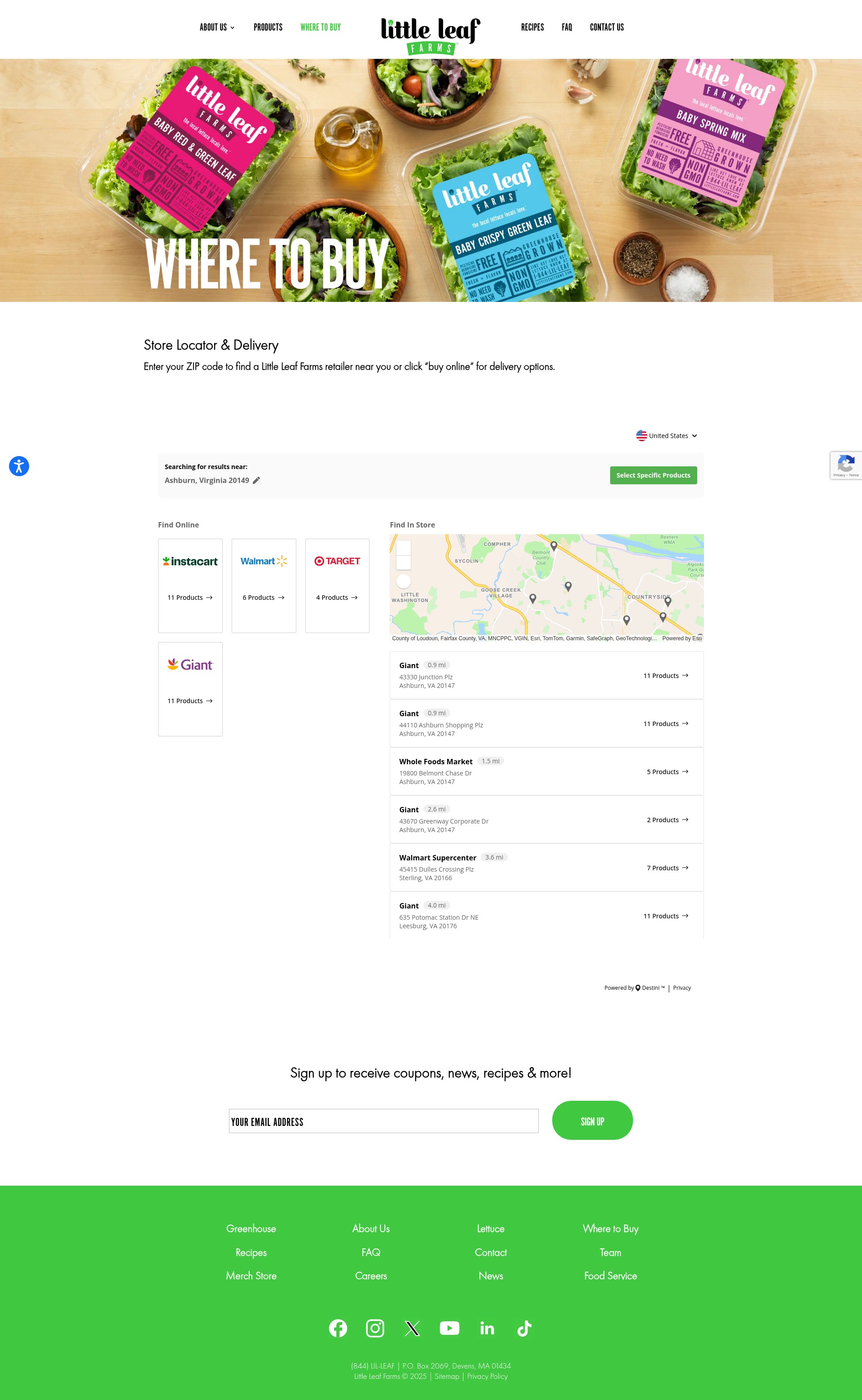 Landing Page