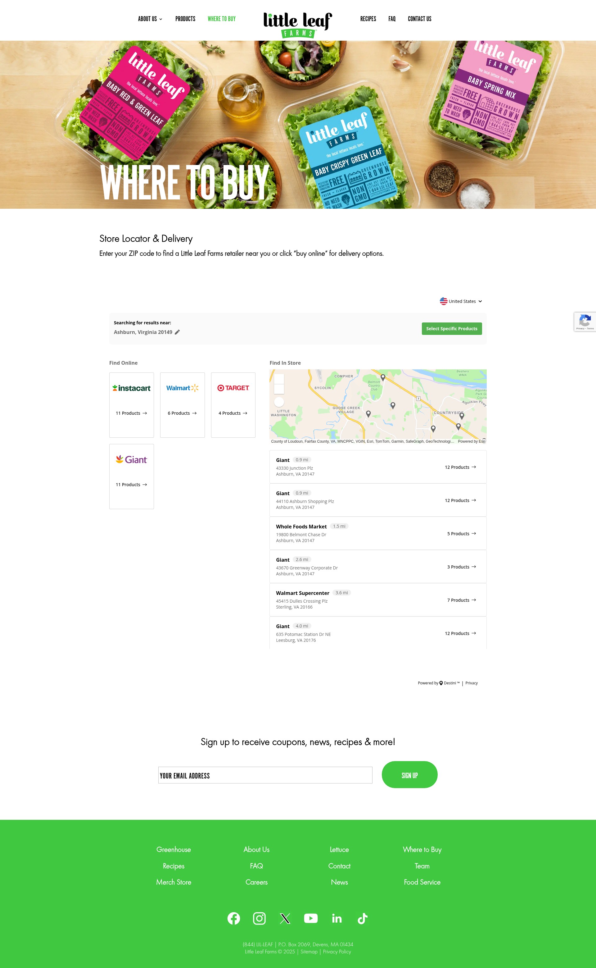Landing Page