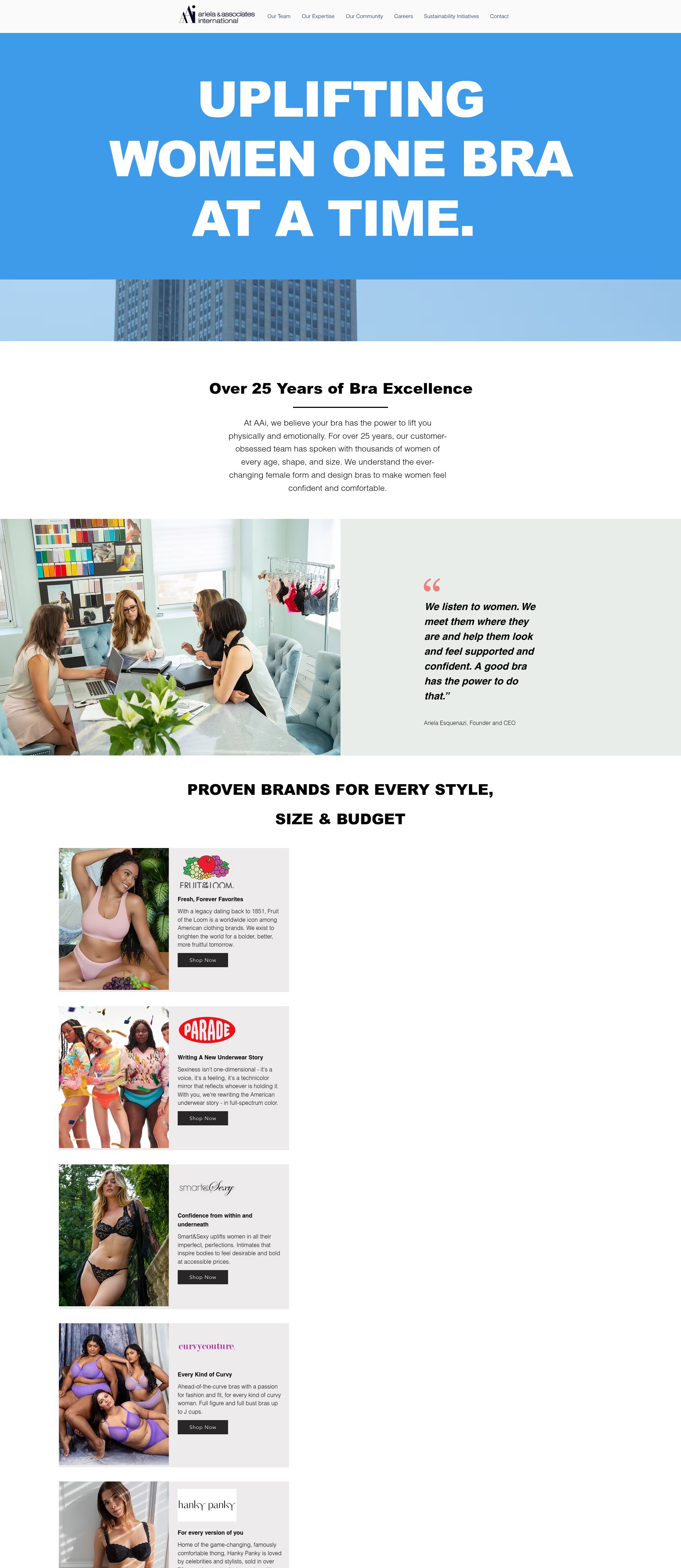 Screenshot of aai-llc.com