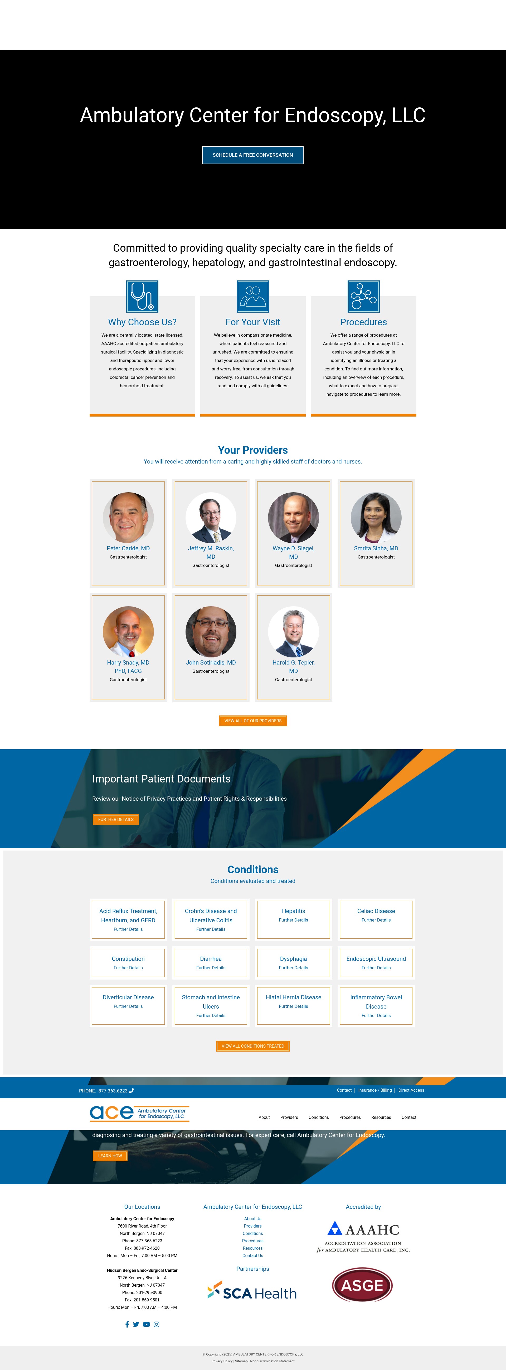 Screenshot of ace-endoscopy.com