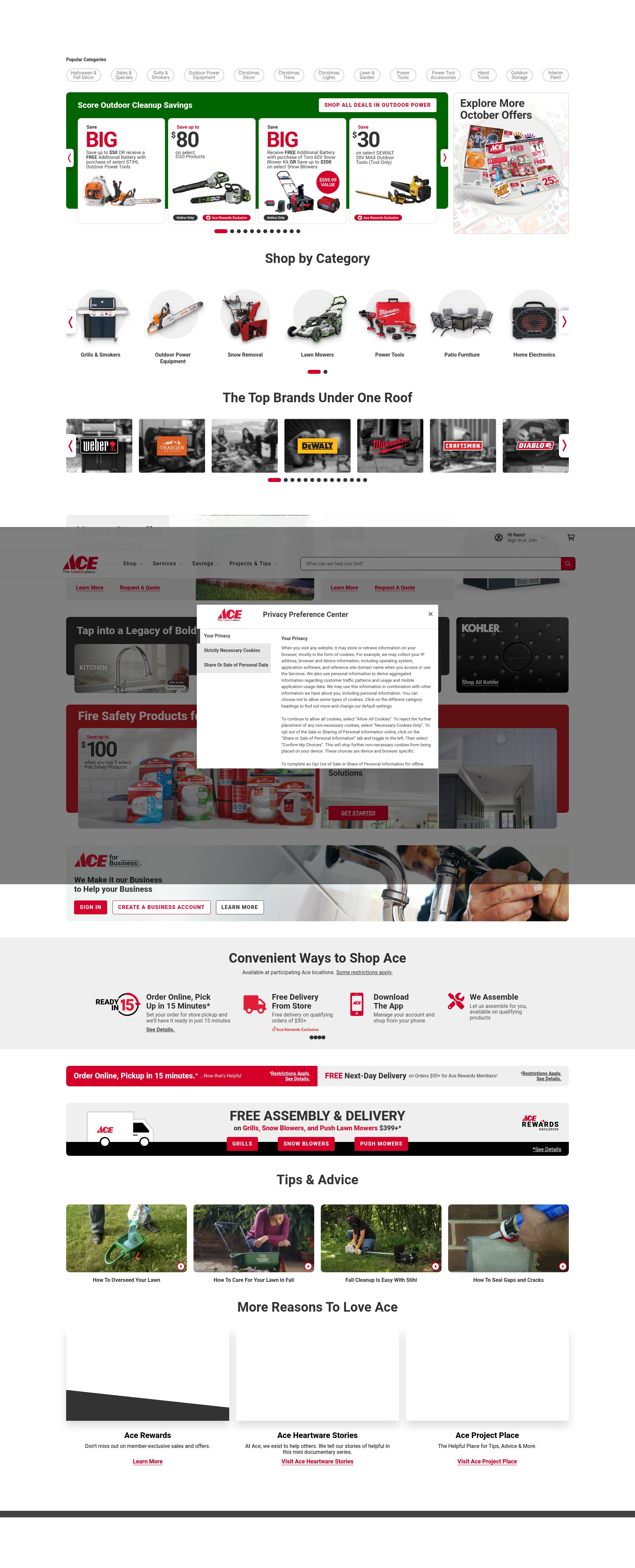 Screenshot of acehardware.com