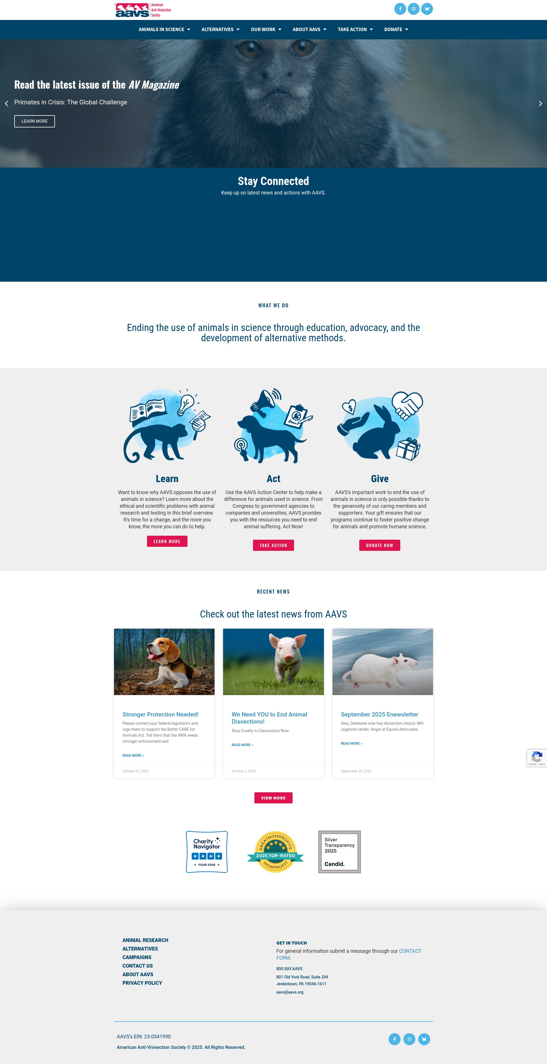 Screenshot of act.aavs.org