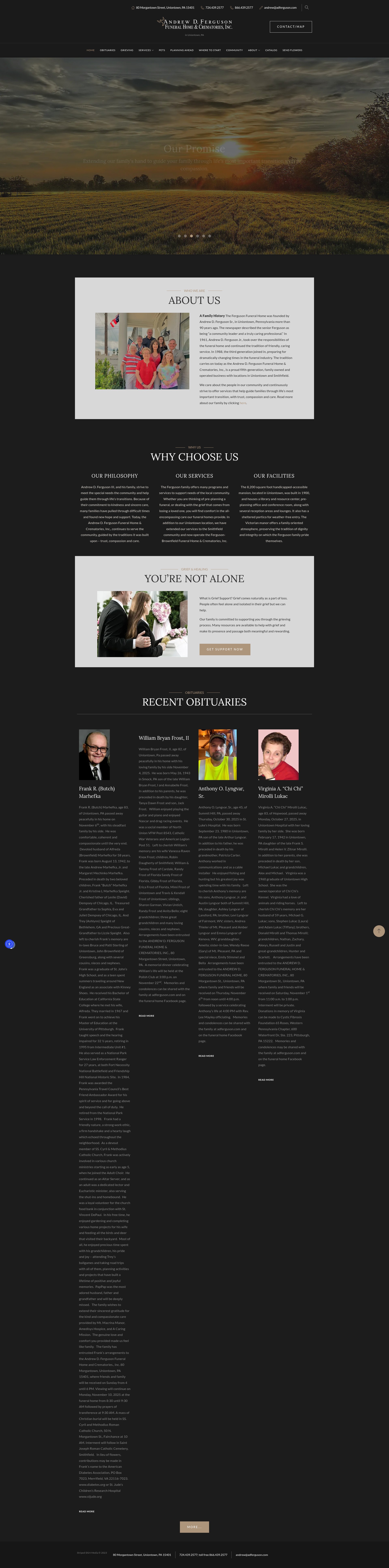 Screenshot of adferguson.com