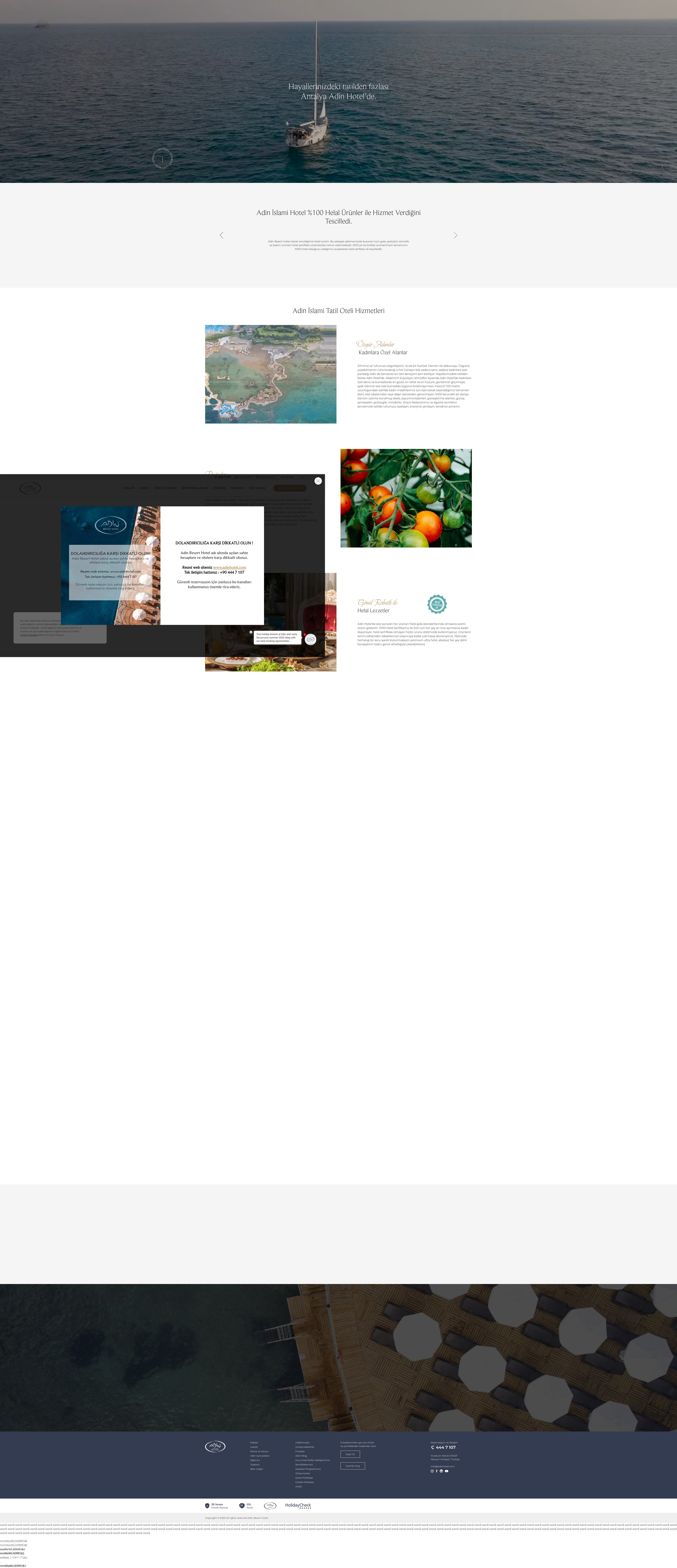 Screenshot of adinhotel.com