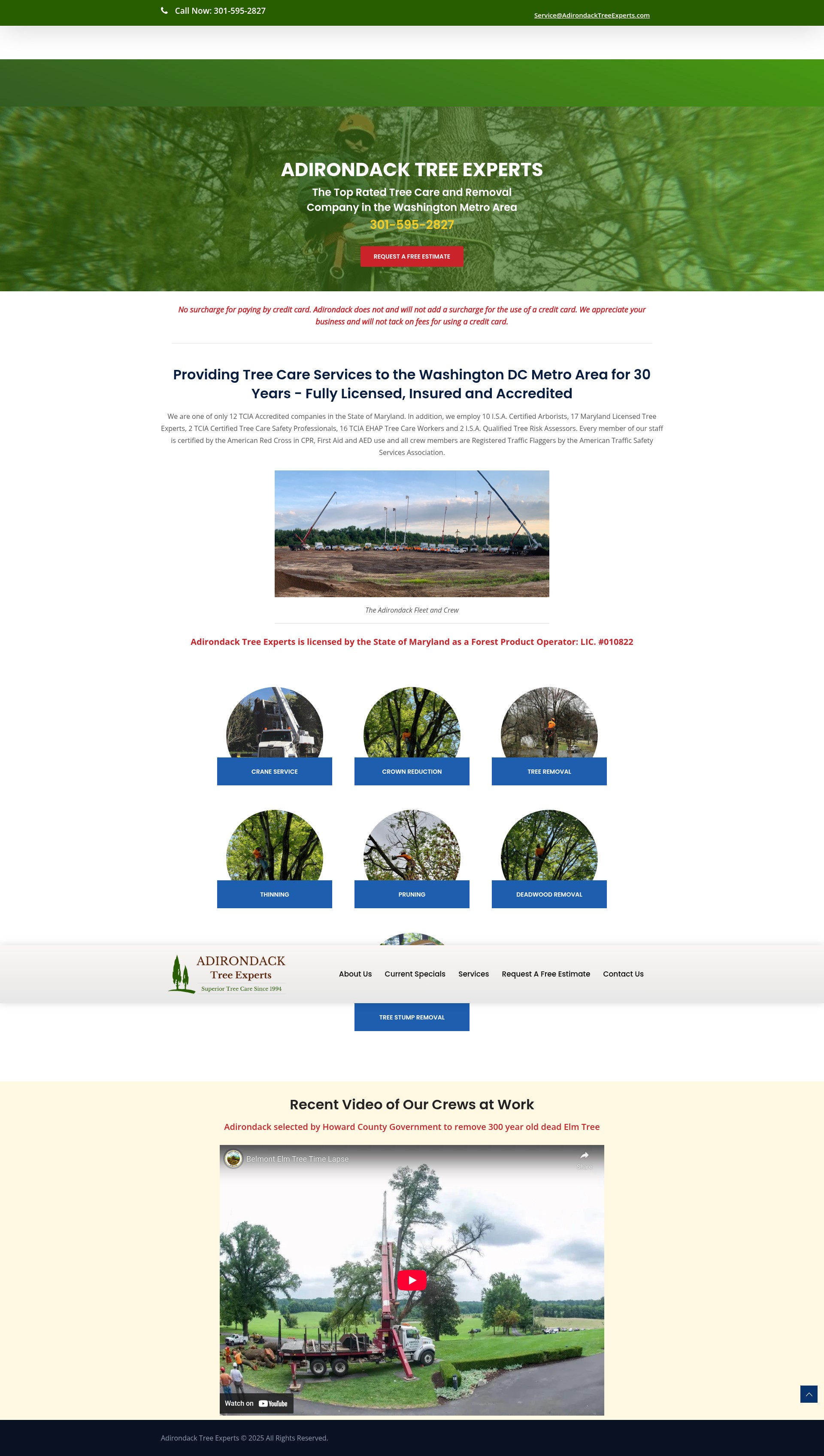 Screenshot of adirondacktreeexperts.com