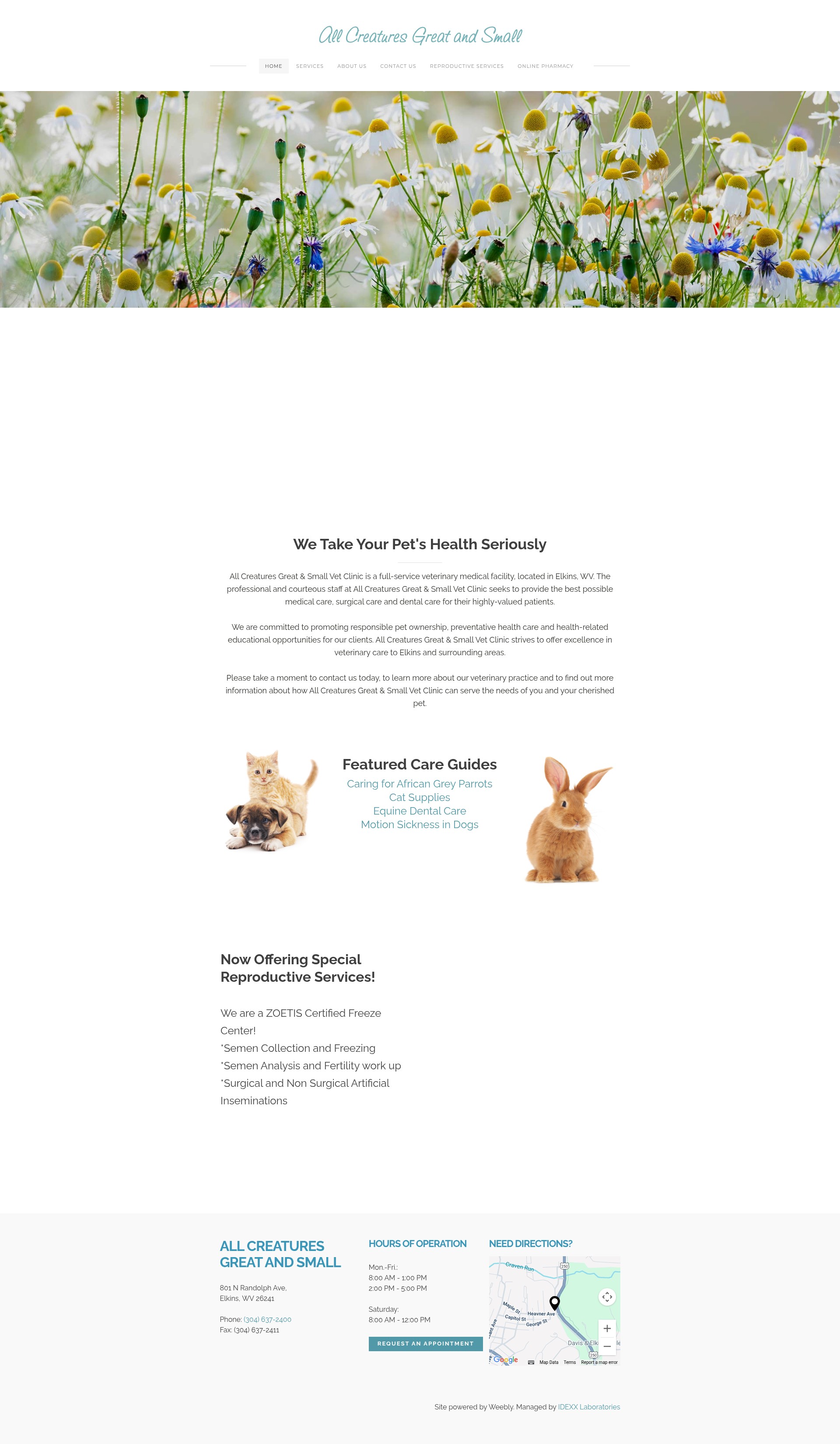 Screenshot of allcreatures-wv.com