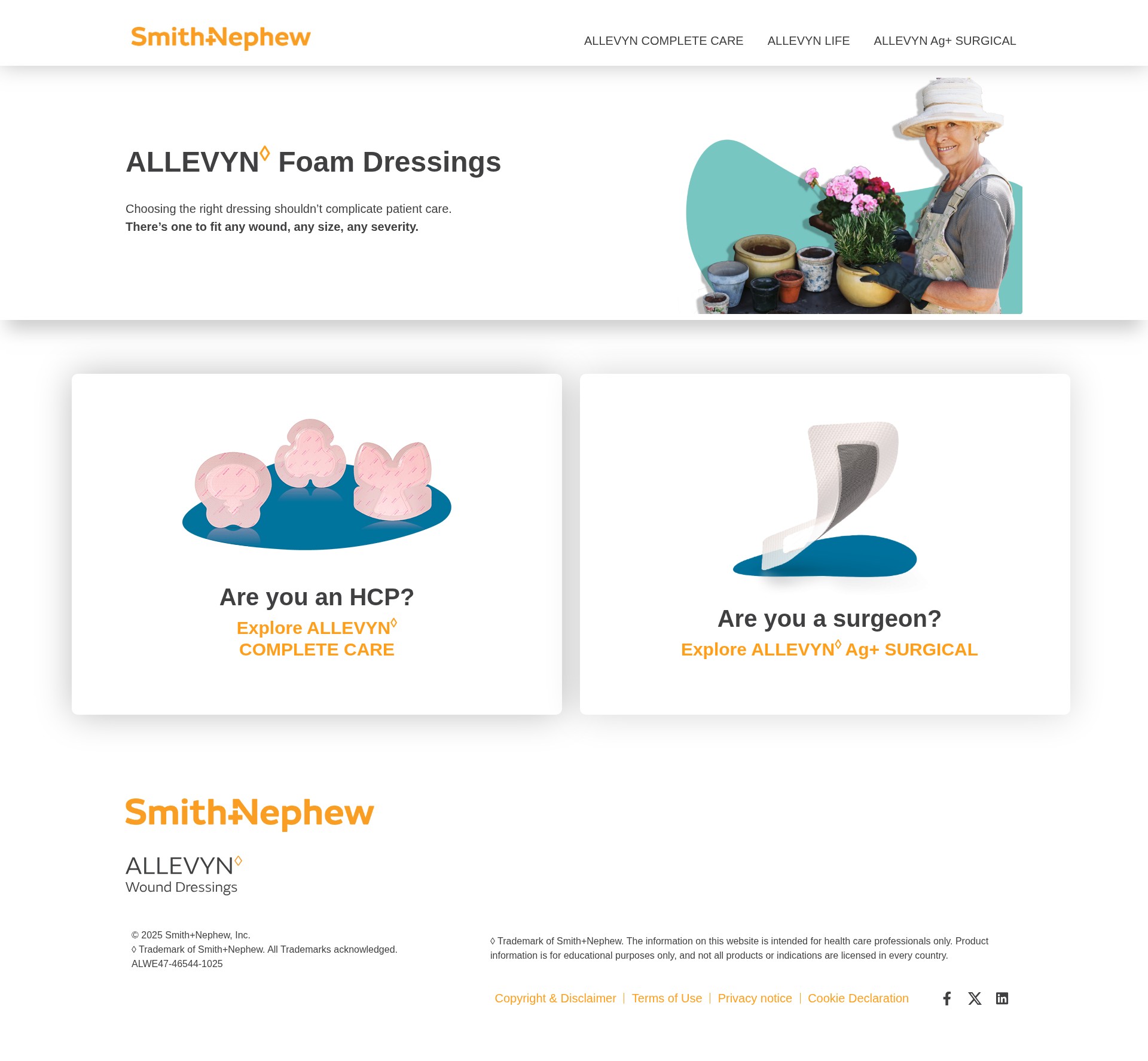 Screenshot of allevyndressings.com