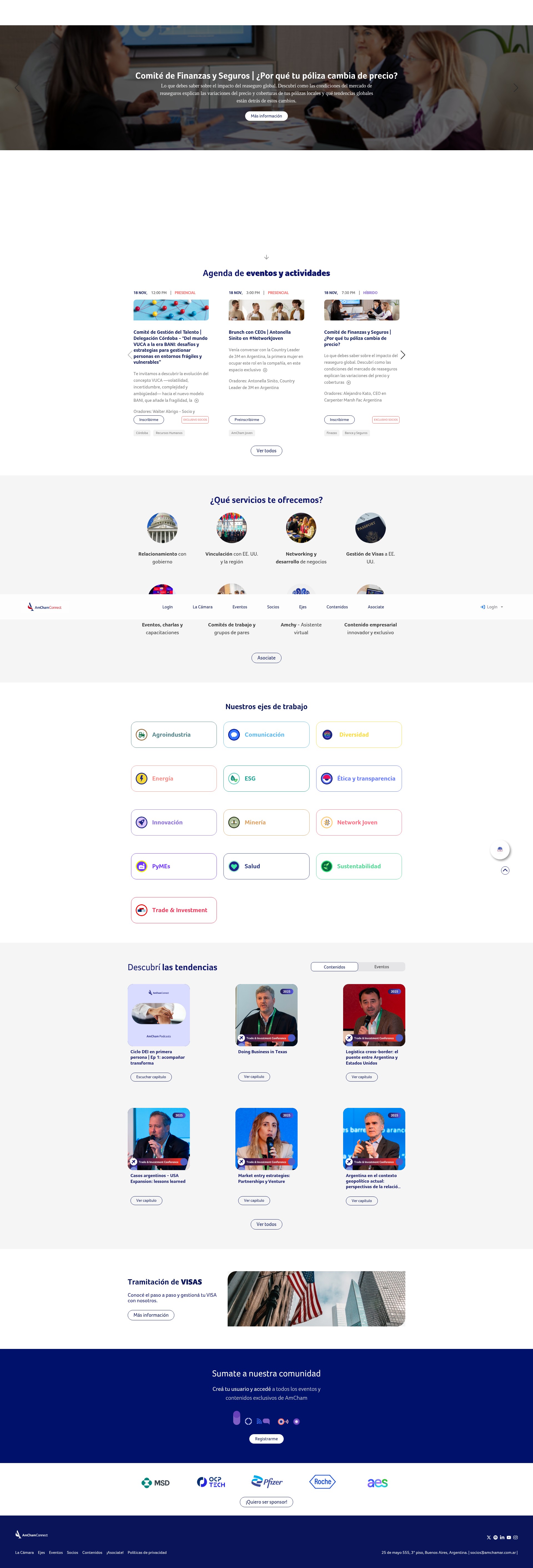 Screenshot of amcham.com.ar