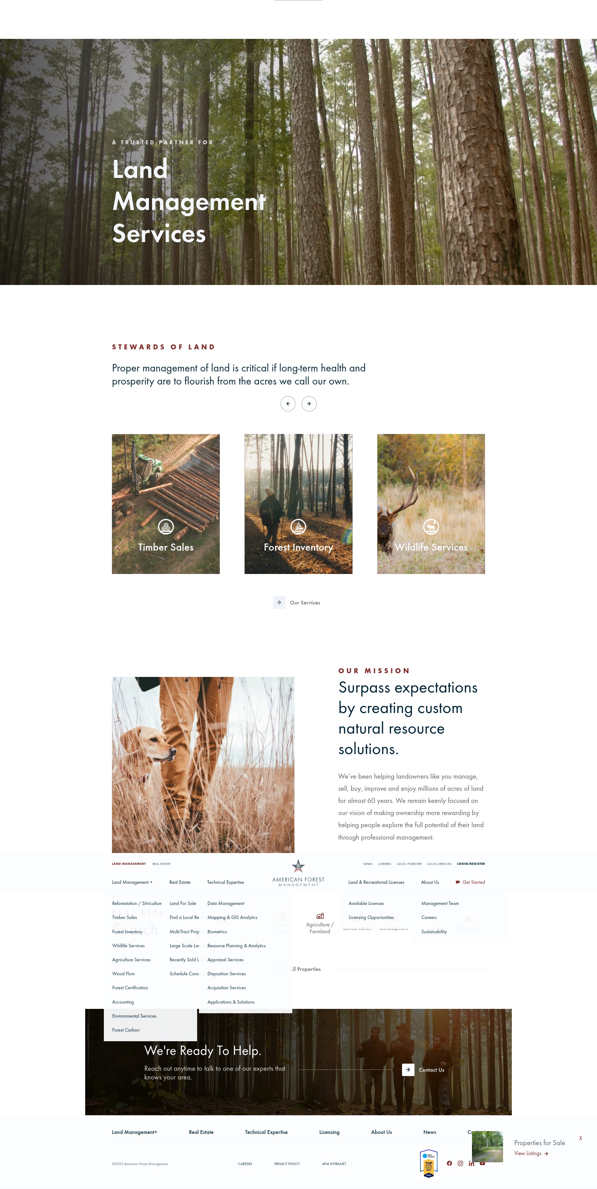 Screenshot of americanforestmanagement.com