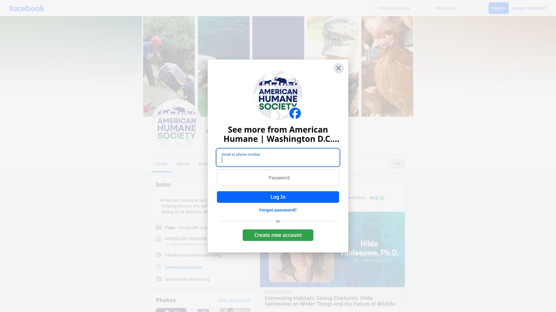 Screenshot of americanhumane.org